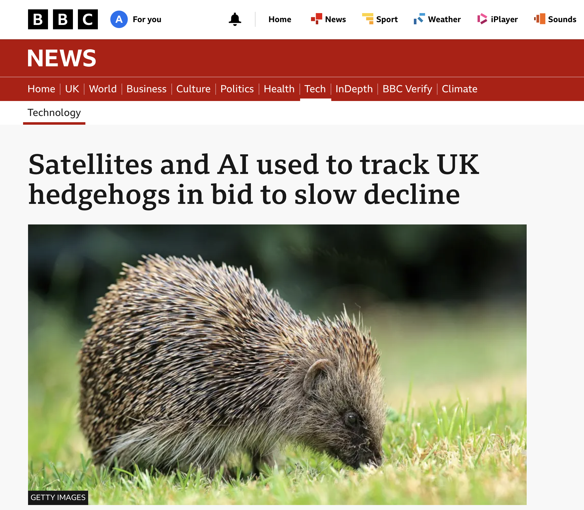 Every article on AI is improved with a cute hedgehog