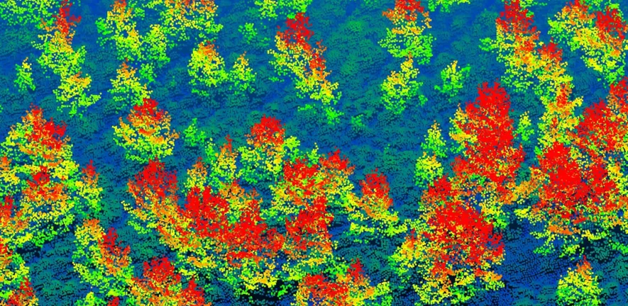 A LiDAR point cloud of individual trees in the Cairngorms, coloured by height (credit: Aland Chan)