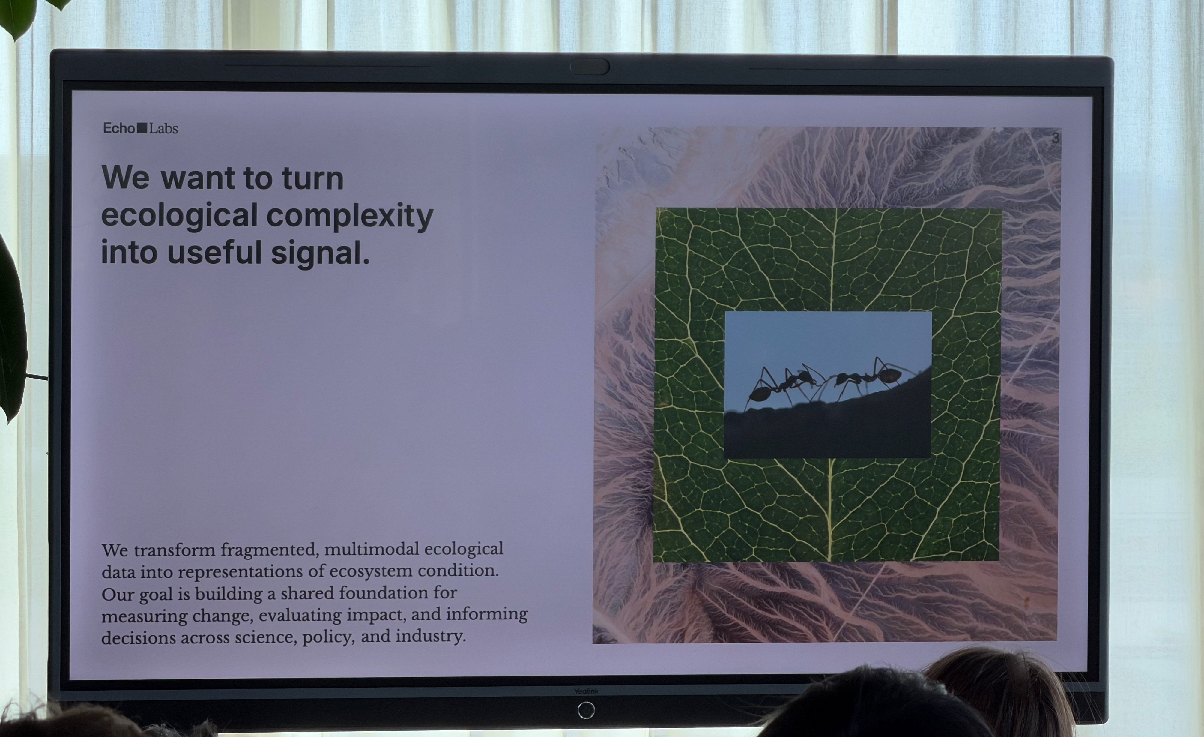 Echo Labs: turning ecological complexity into useful signal, ants and all.