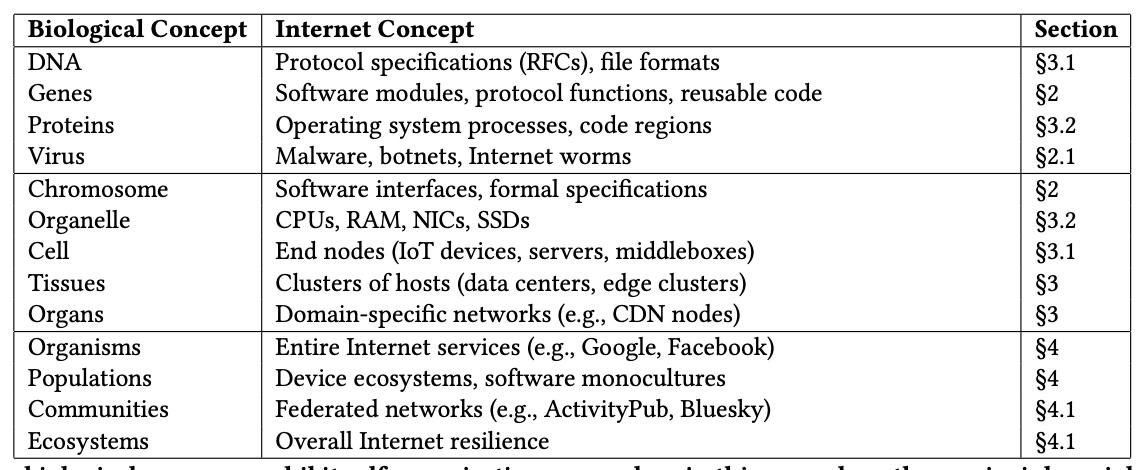 Correspondences between biological scales and Internet concepts