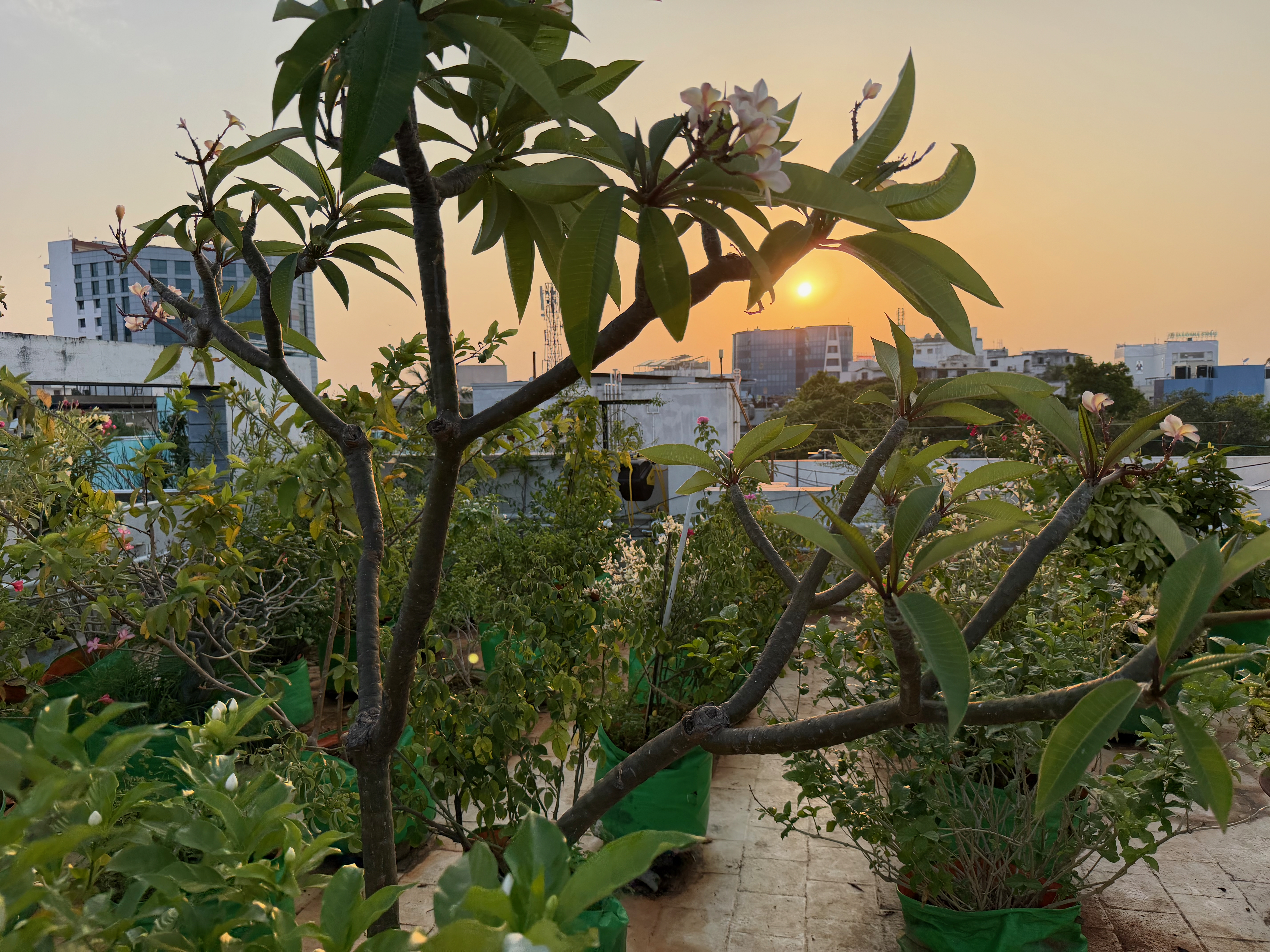 Sunset over Chennai to close out a very long but very rewarding day