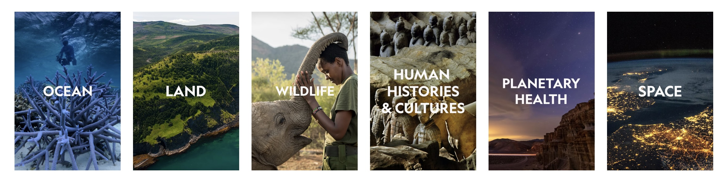 I spent the whole return trip reading the impact stories. So very, very, very inspiring.
