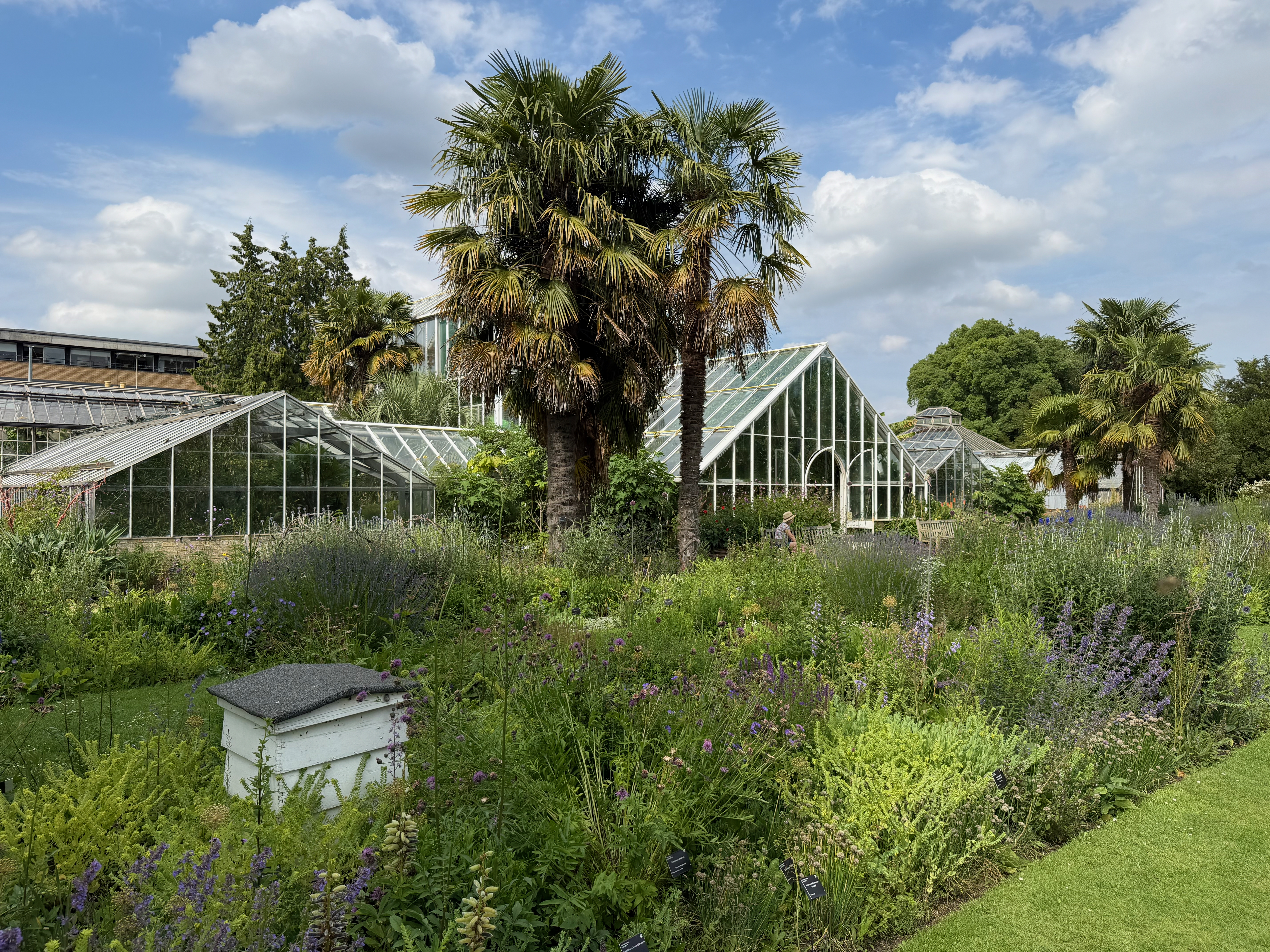 The Botanic looking as splendid as ever now the sun's back